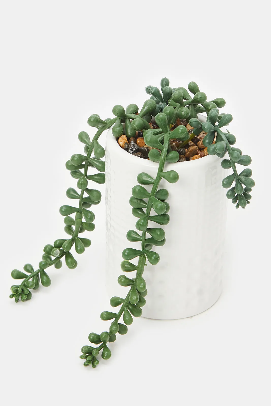 Artificial Succulent Creepers In Ceramic Tall Pot