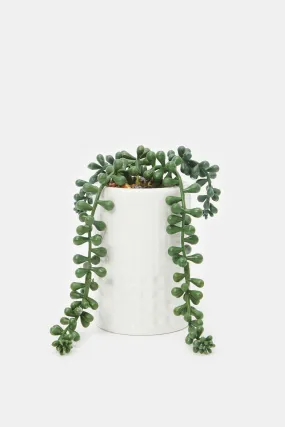 Artificial Succulent Creepers In Ceramic Tall Pot