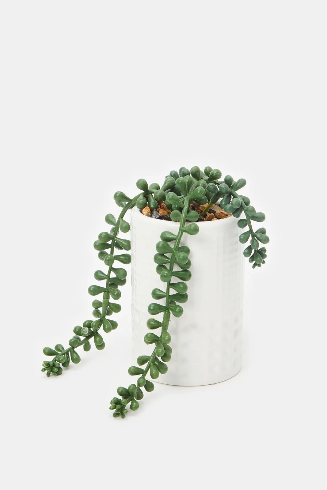 Artificial Succulent Creepers In Ceramic Tall Pot