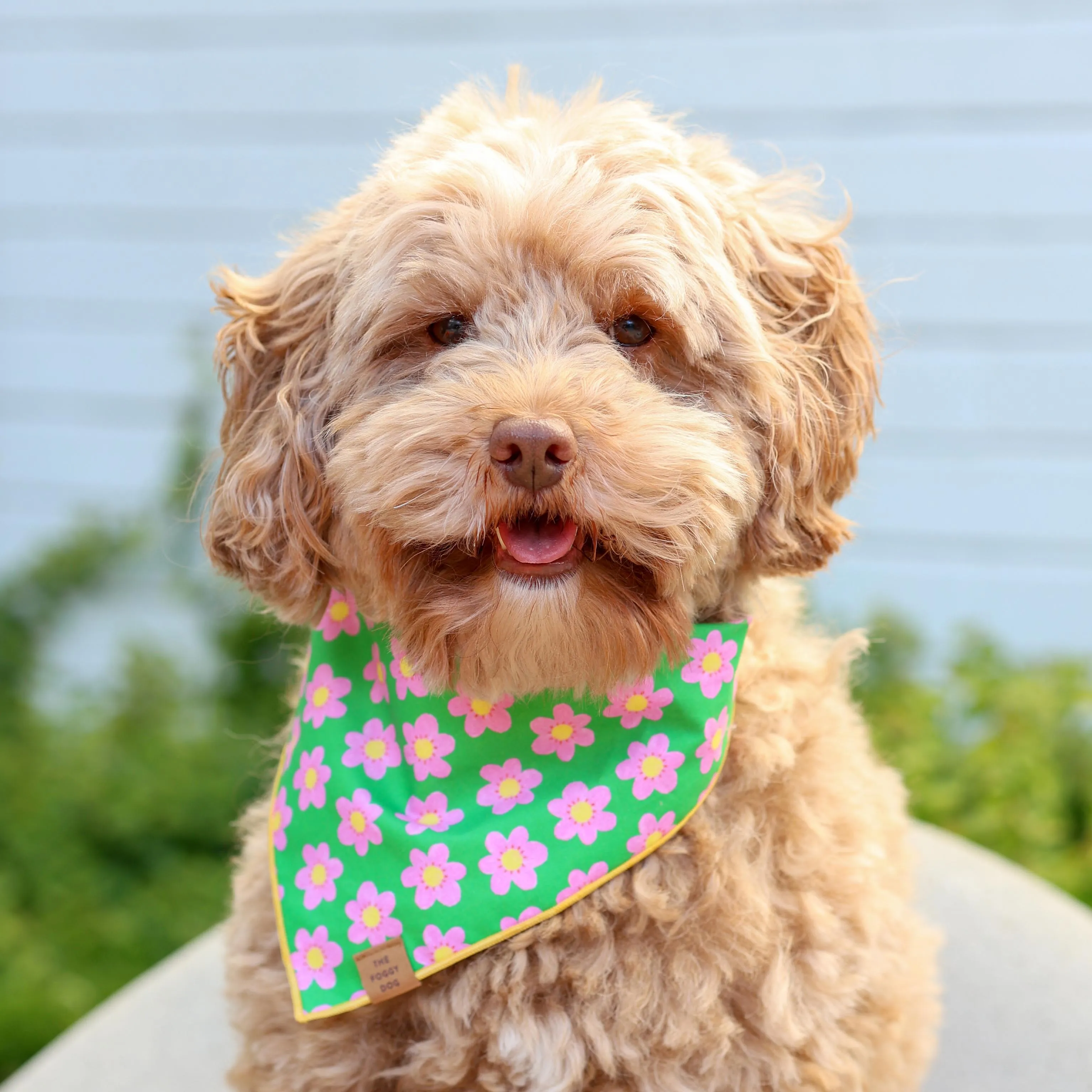 Flower Power Dog Bandana