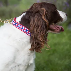 Medium Dog Collar: Parker