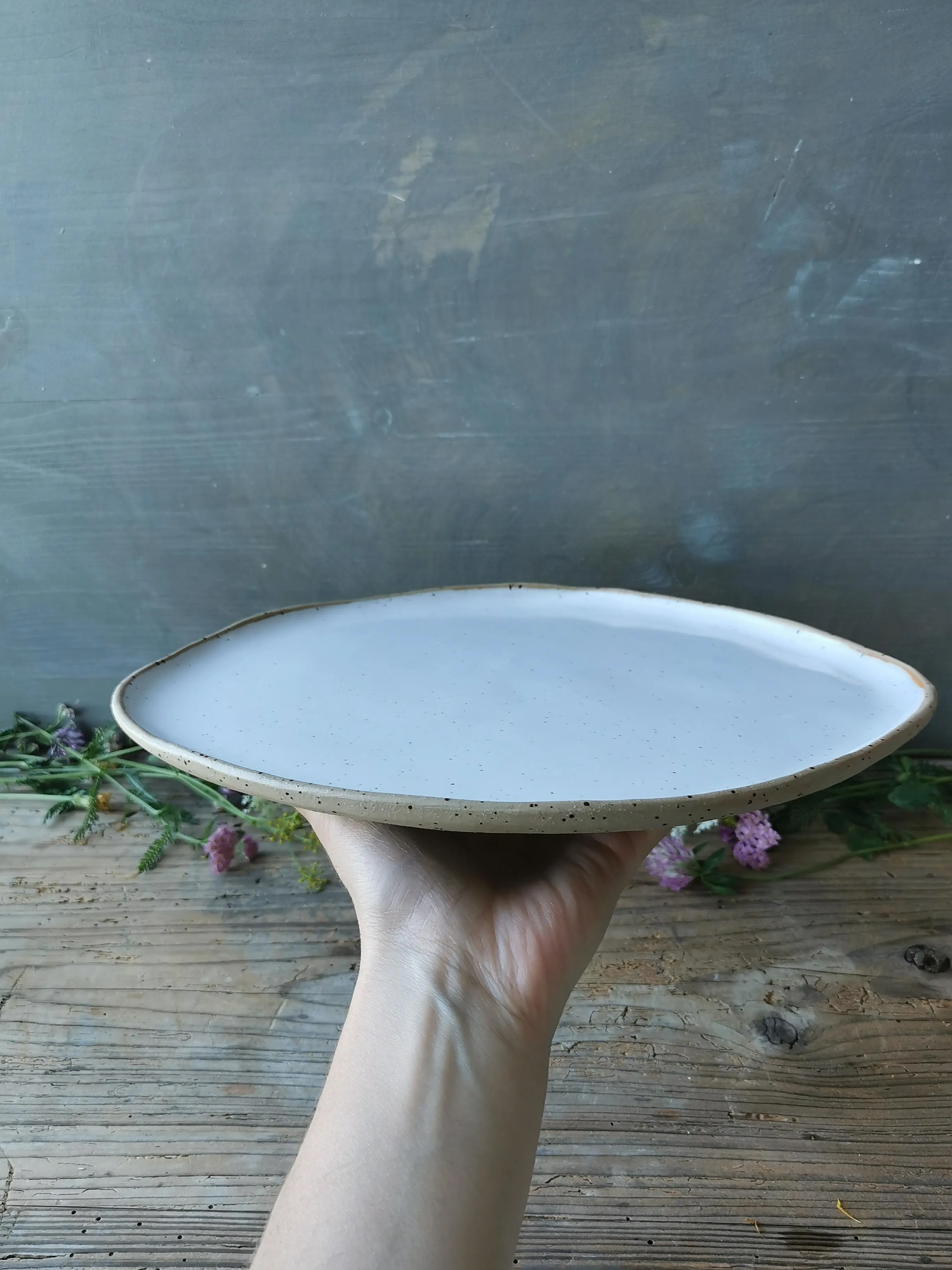 Medium sized plate No. 3