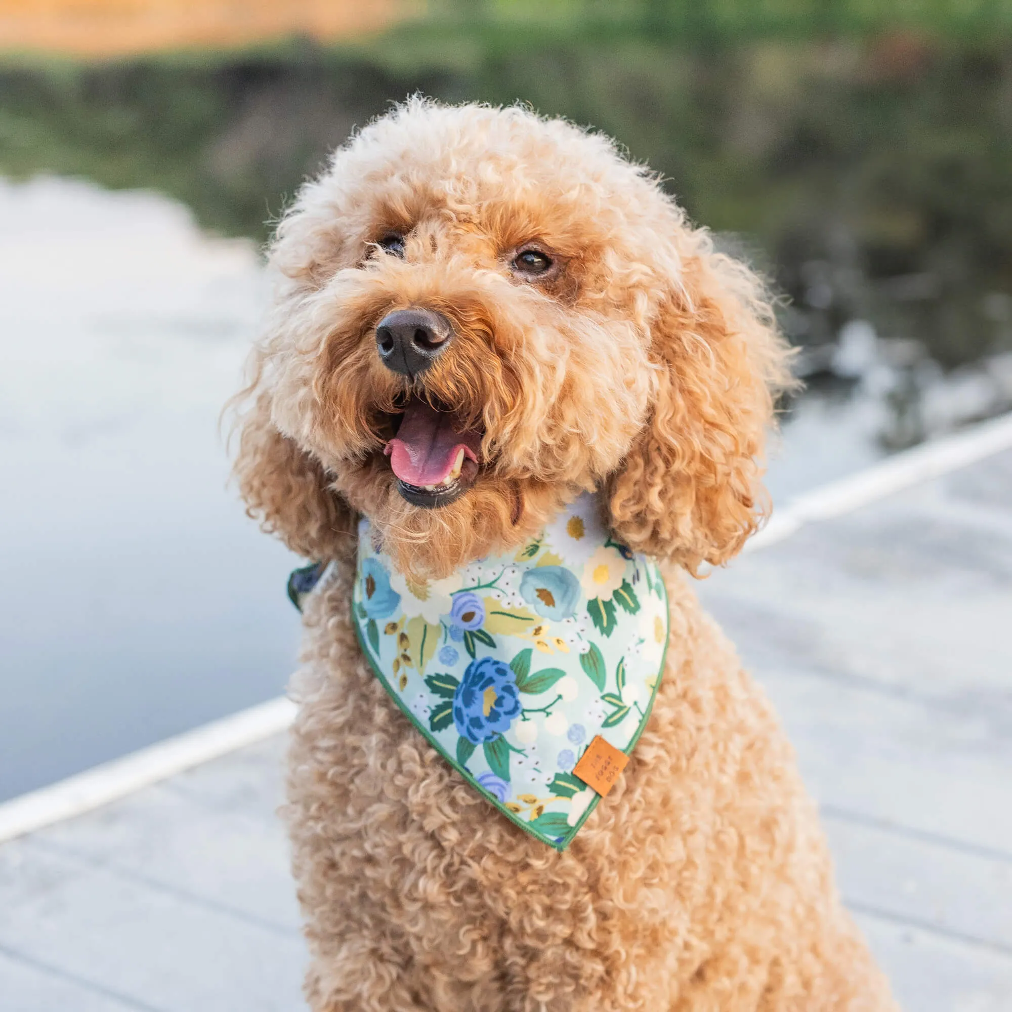 Rifle Paper Co. x TFD Vintage Blossom Dog Bandana