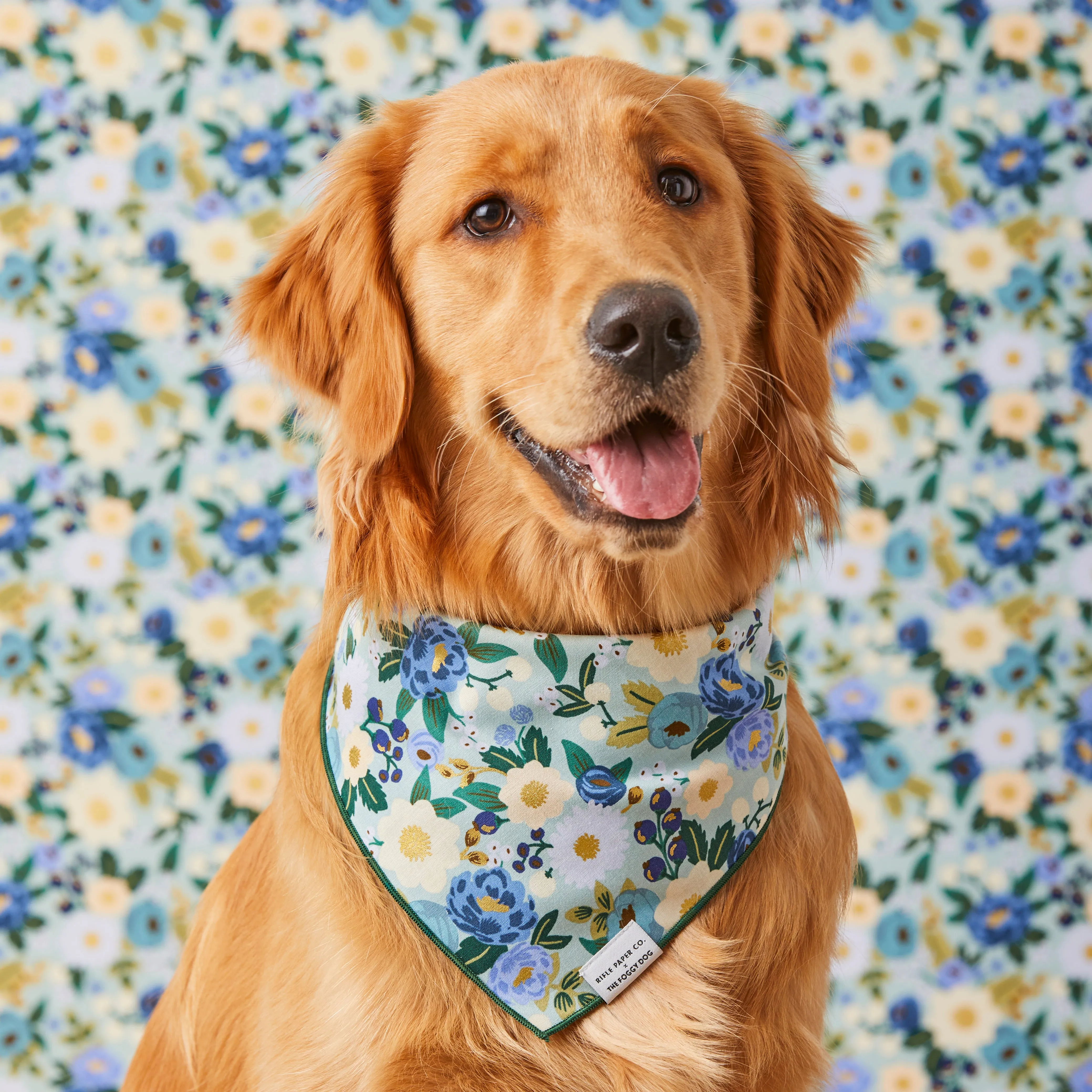 Rifle Paper Co. x TFD Vintage Blossom Dog Bandana