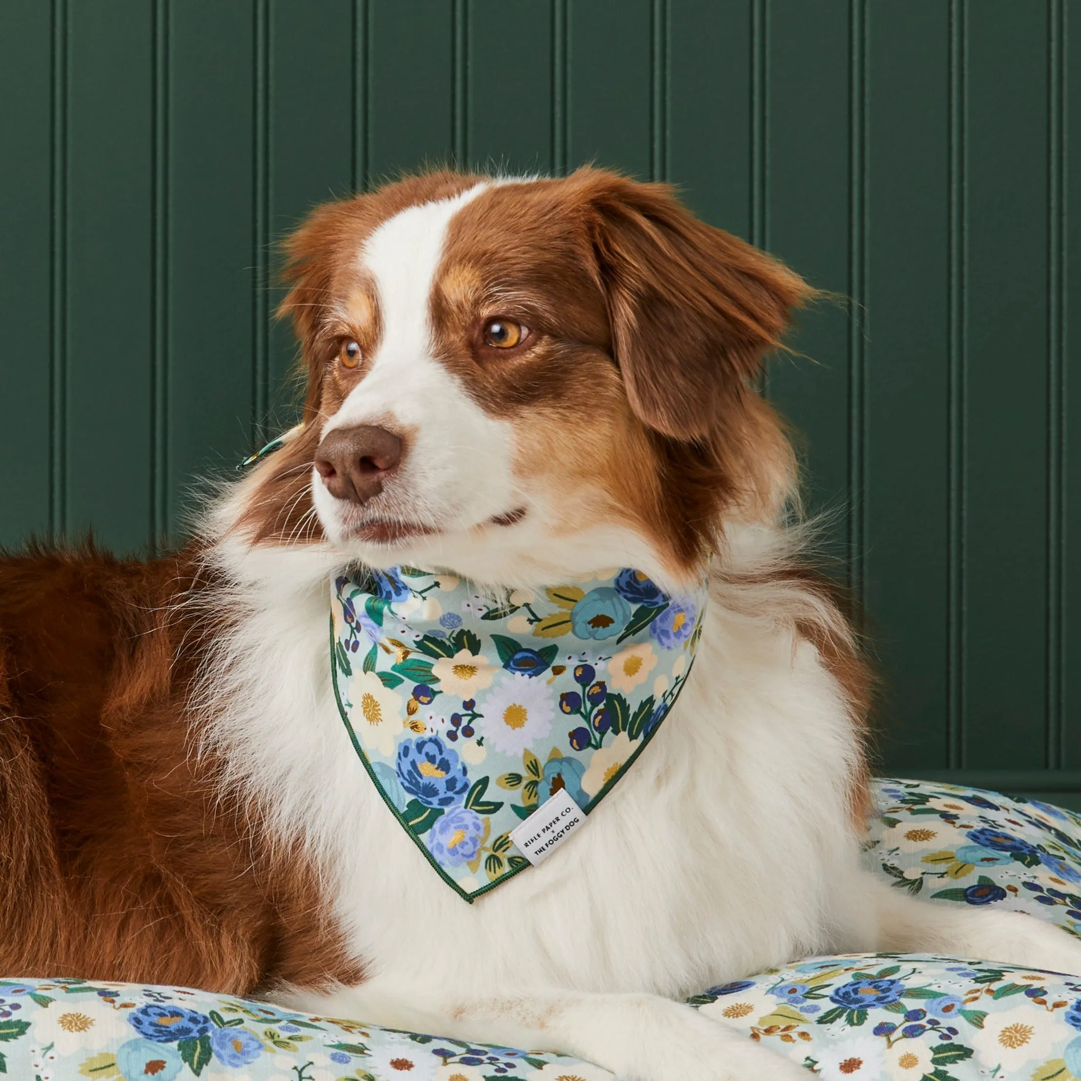 Rifle Paper Co. x TFD Vintage Blossom Dog Bandana