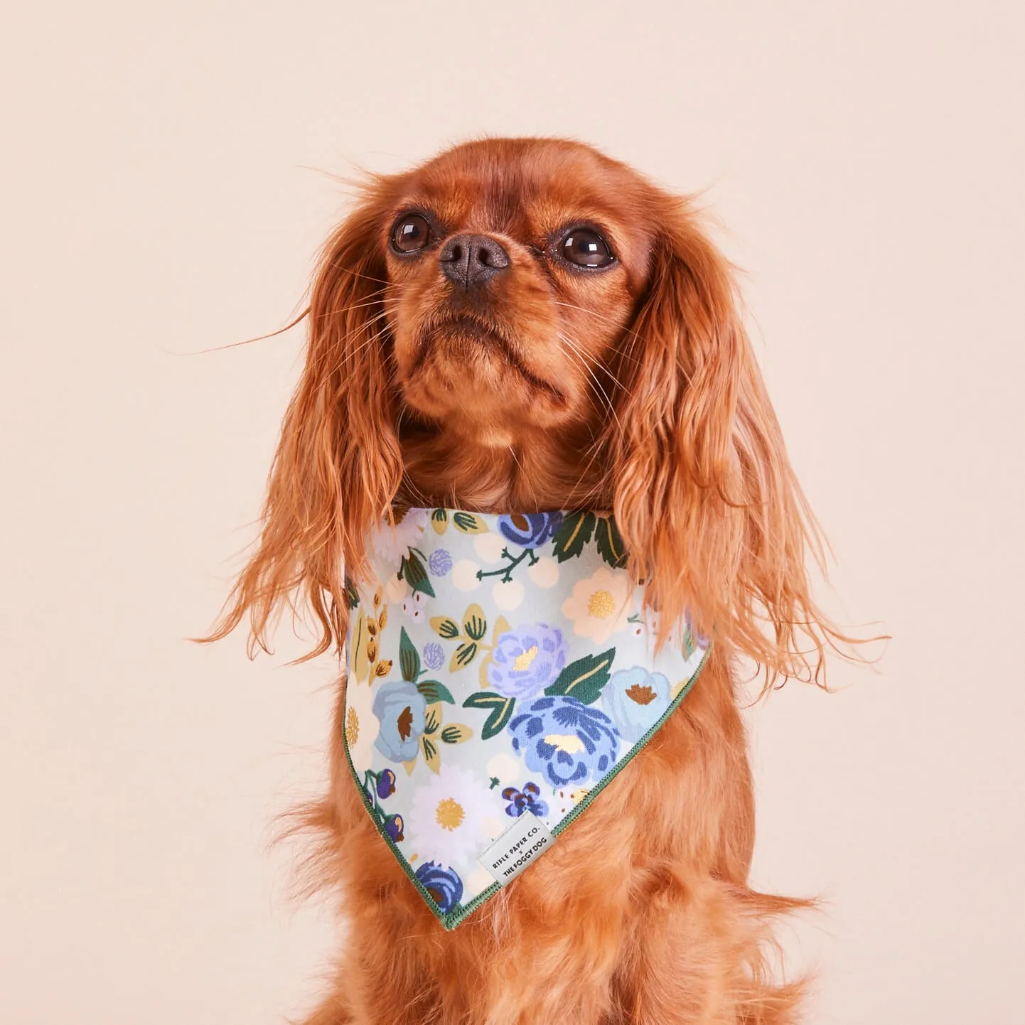 Rifle Paper Co. x TFD Vintage Blossom Dog Bandana