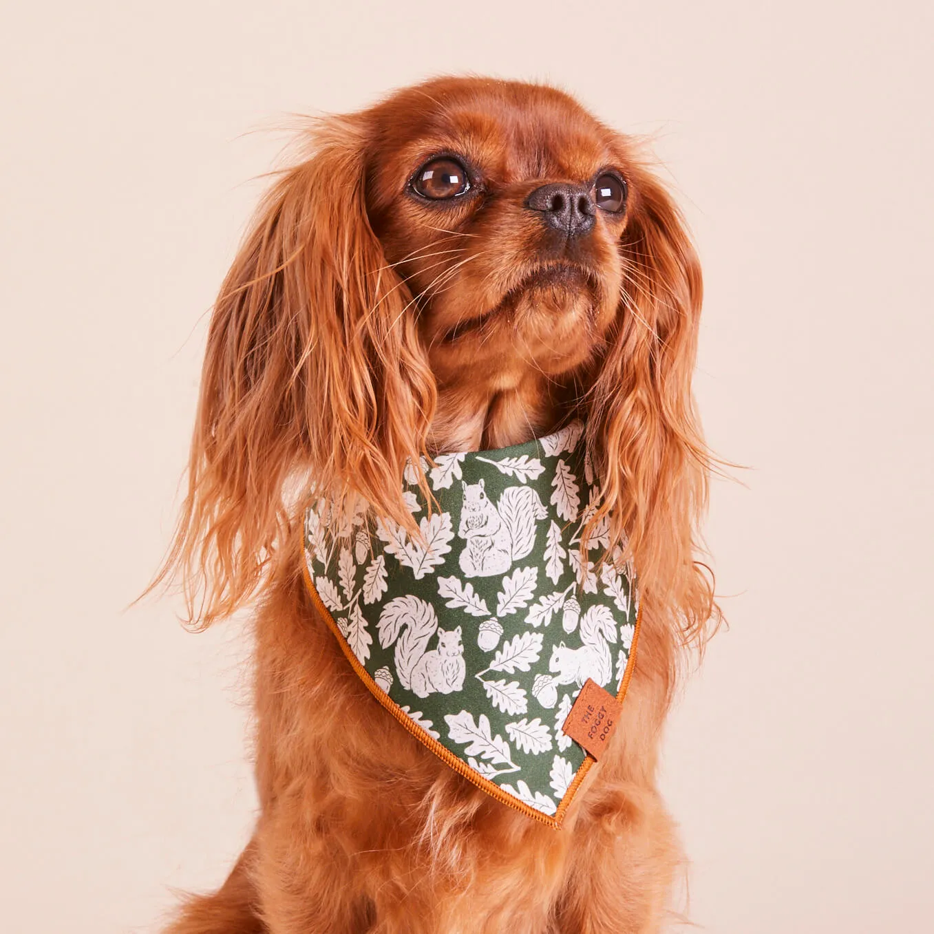 Squirrel! Dog Bandana