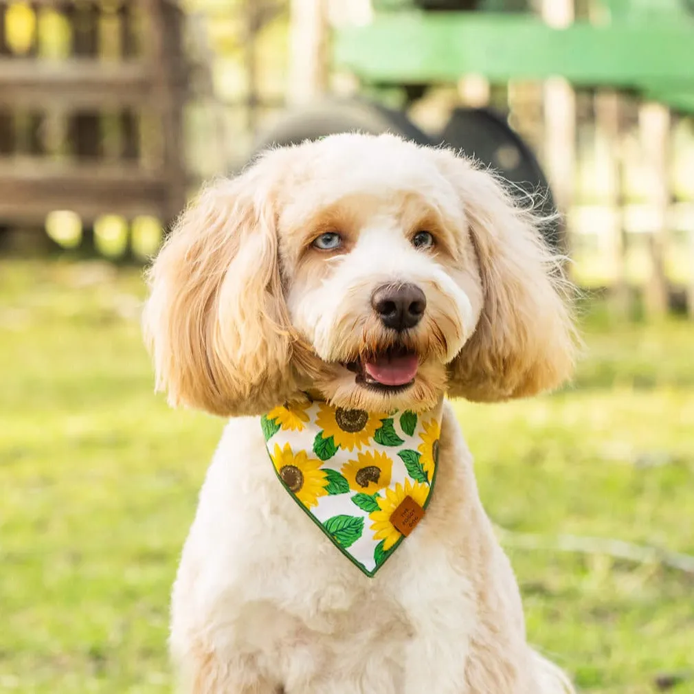 You are My Sunshine Dog Bandana